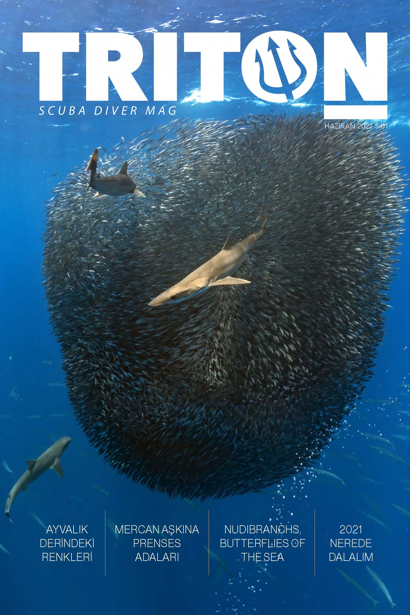 triton dive magazine online, triton sualtı dergisi, mahmut suner kimdir, Peter Salvatore, sualtı dünyam, Engin aygün